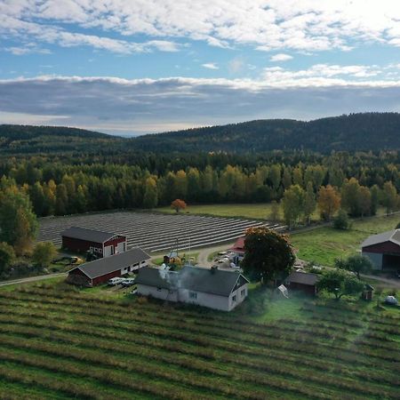 Maatilamatkailu Jaenisvaara Kolinkylä 외부 사진