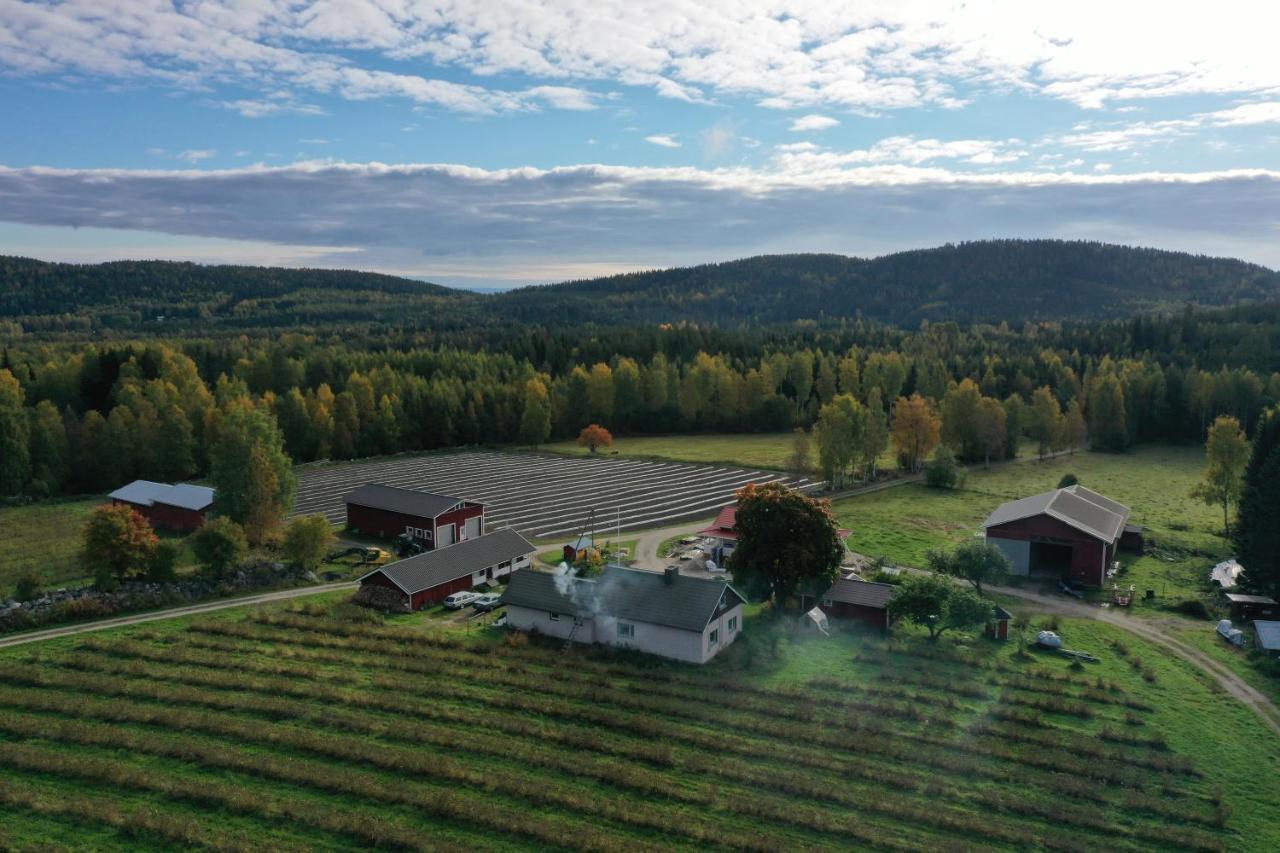 Maatilamatkailu Jaenisvaara Kolinkylä 외부 사진