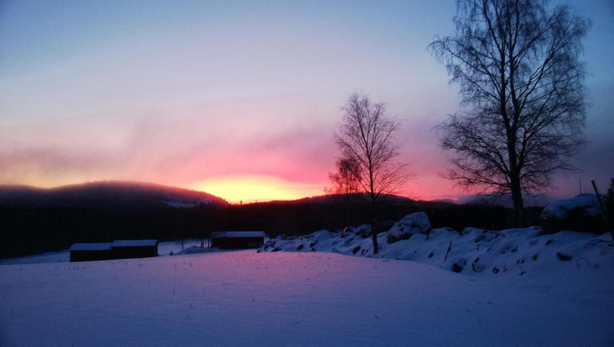 Maatilamatkailu Jaenisvaara Kolinkylä 객실 사진