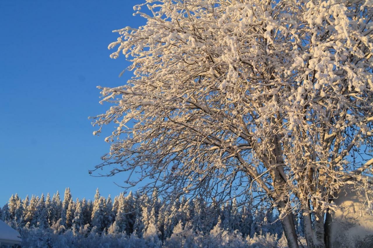 Maatilamatkailu Jaenisvaara Kolinkylä 외부 사진