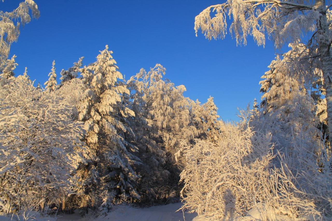 Maatilamatkailu Jaenisvaara Kolinkylä 외부 사진